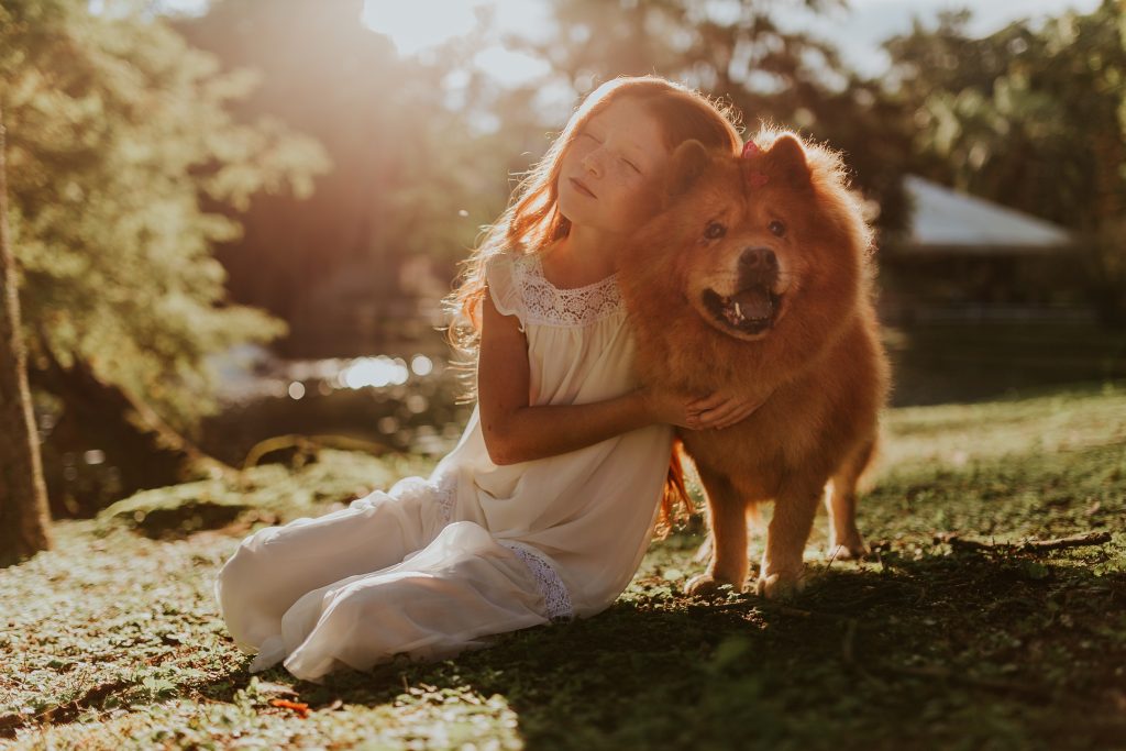 Canva - Girl Hugging Adult Chow Chow Sitting on Grass Field