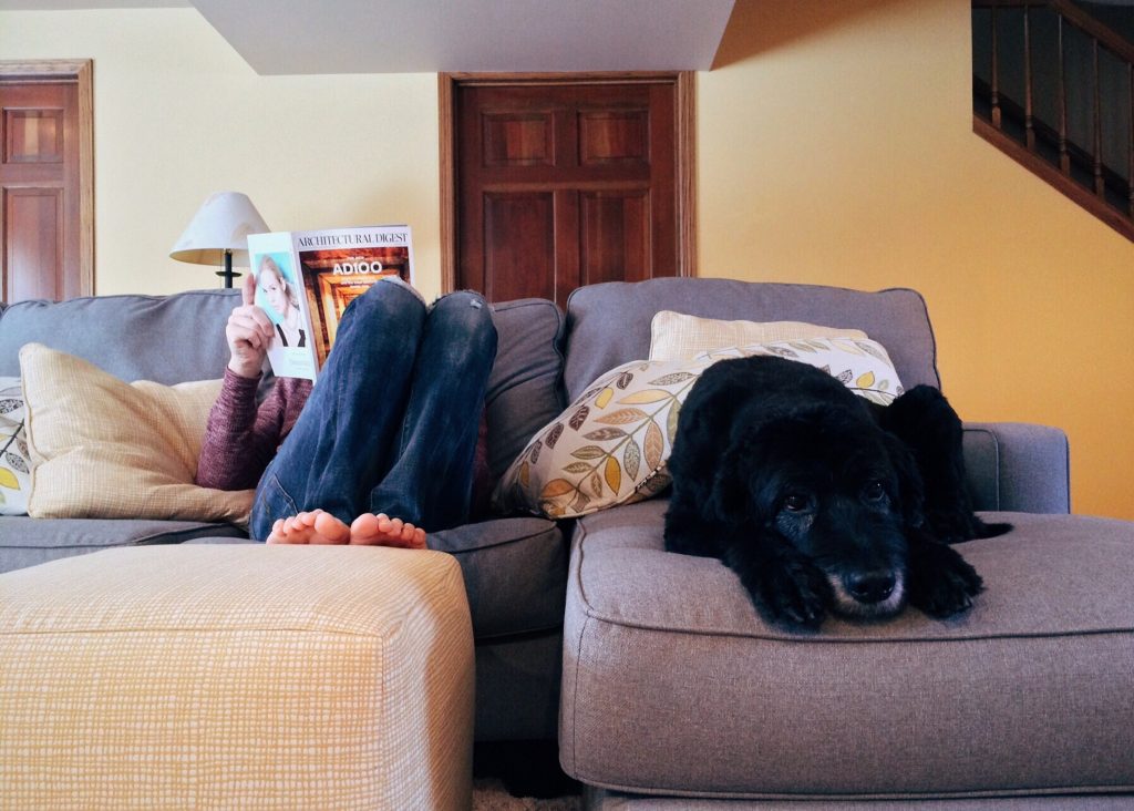 Canva - Person, Home, Relax, Dog, Lifestyle, Indoors